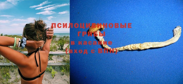 марки nbome Бородино
