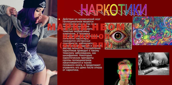 ГАЛЛЮЦИНОГЕННЫЕ ГРИБЫ Бугульма