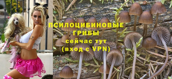 марки nbome Бородино