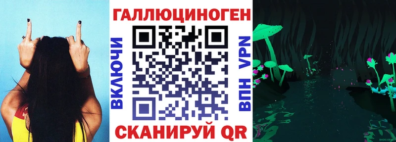 Галлюциногенные грибы Psilocybine cubensis  Купить закладки  Муравленко 